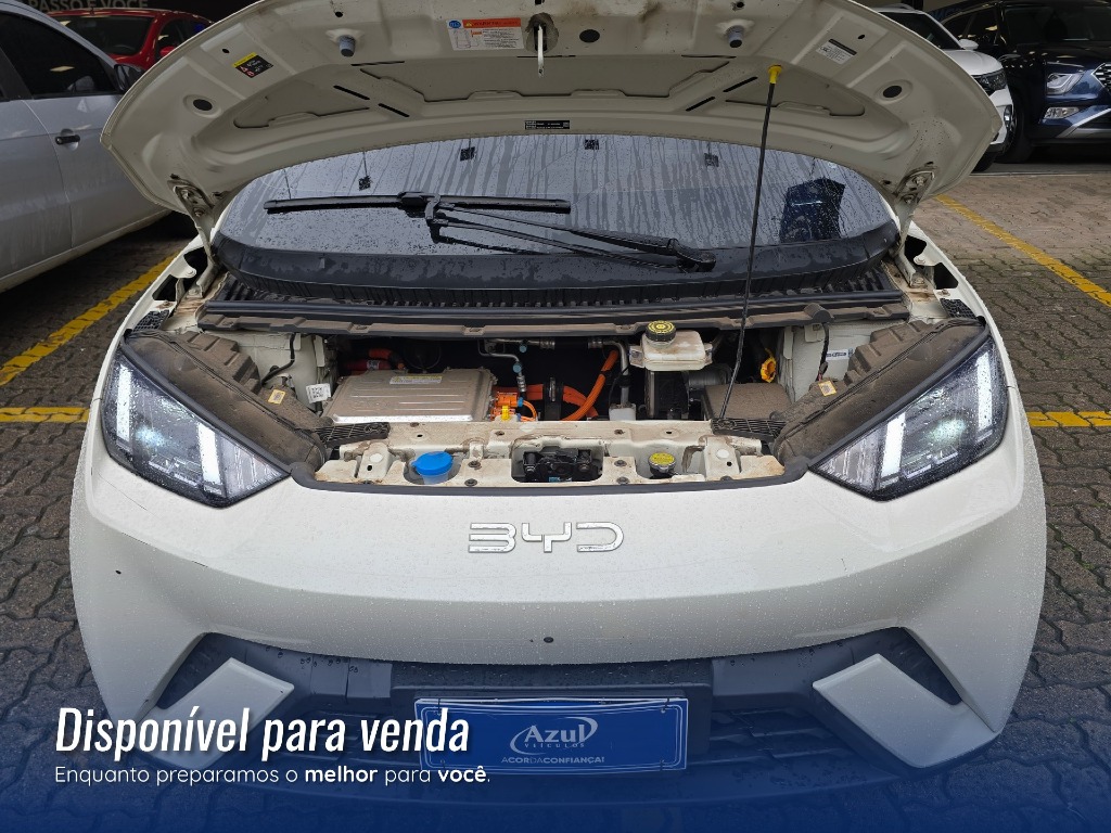 BYD DOLPHIN MINI 38 KW ELÉTRICO